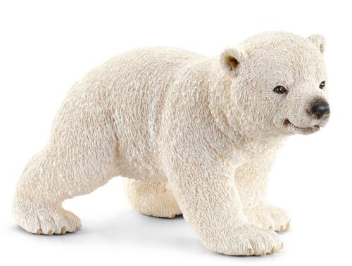 Cubo orso polare che - orso,