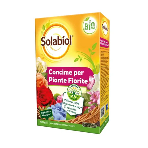 Concime per piante fiorite