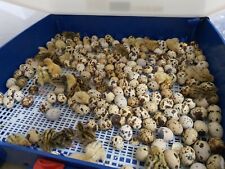 !!VERIFICA DESCRIZIONE