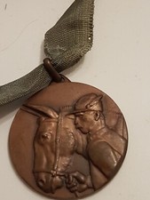 Medaglia adunata nazionale - medaglia, xv