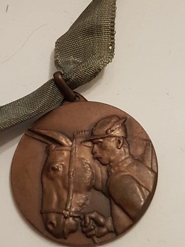 Medaglia adunata nazionale - medaglia,