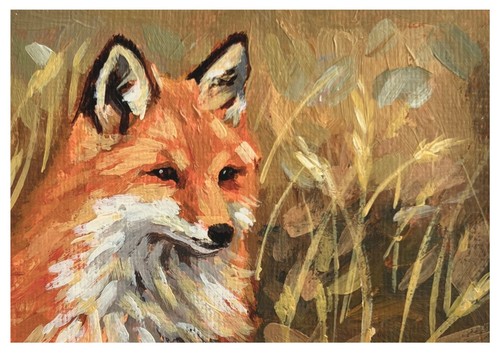 Stampa volpe bosco - volpe, fauna