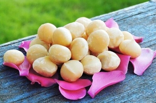 Noci macadamia naturale - macadamia, al