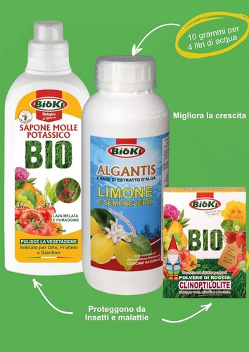 Kit per limone - limone, agrumi: