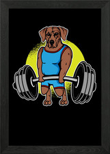 Rhodesian Ridgeback con