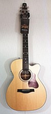Chitarra elettrica acustica - chitarra,