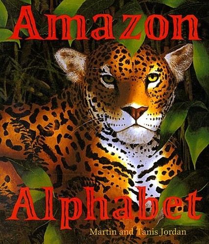 Amazon alphabet jordan tanis - amazon, alphabet,