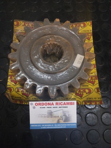 722506 celli ingranaggio z21 - 722506,