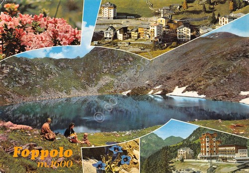 Cartolina foppolo vedute varie - foppolo,