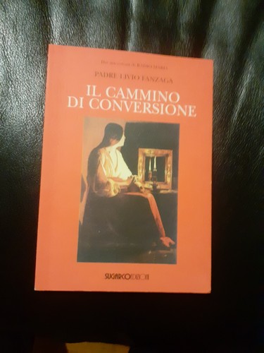 Cammino conversione - il,