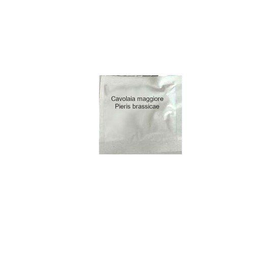 Feromone attrattivo per