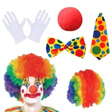 Set Costume da Clown Da 5 Pezzi con Parrucca Colorata da Clown Naso da Clown