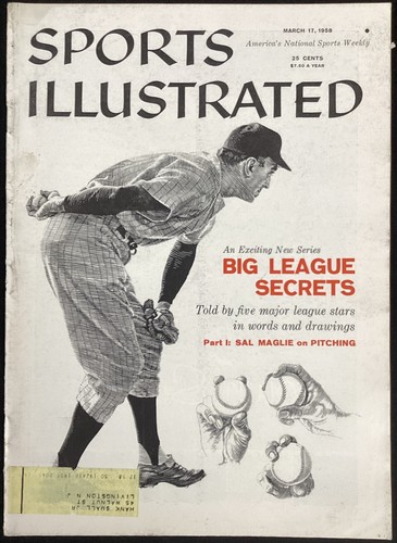 Sal maglie sports - sal,