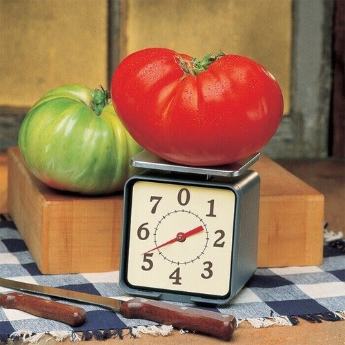 Semi big zac tomato - big,