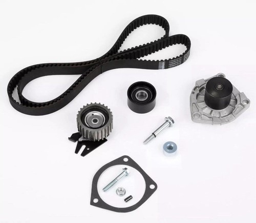 Kit cinghia distribuzione - cinghia,