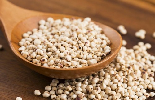 100 semi sorgo - di, bianco