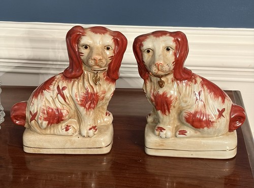Antico cane spaniel rosso - antico,