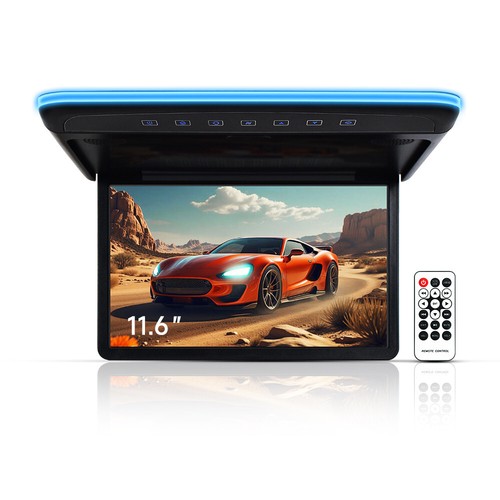 Monitor soffitto - monitor, da