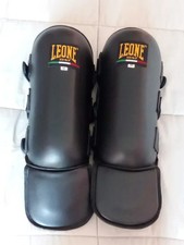 Paratibie leone thai - leone,