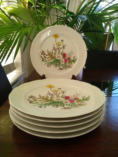 Piatti vintage mitterteich - piatti,