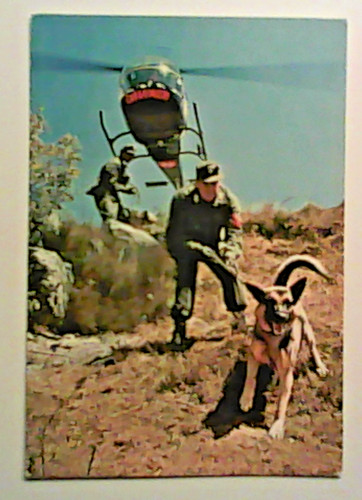 Elicottero cane carabinieri - elicottero,