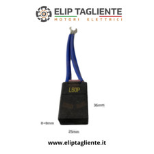 Spazzole 16x25x36 per motori - spazzole,