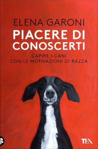 Libro piacere conoscerti - libro,