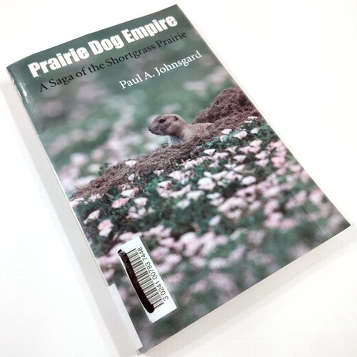 Prairie dog empire - prairie,