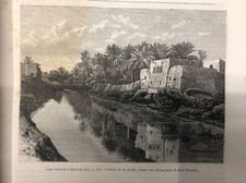 Incisione originale stampa