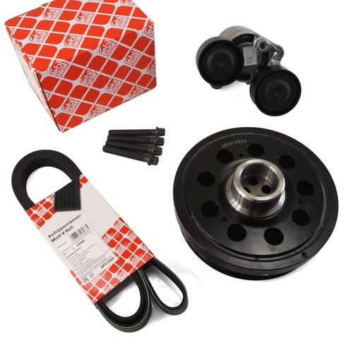 Febi set cinghia scanalata - febi,