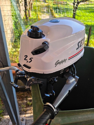 Fuoribordo tempi selva guppy - 4,