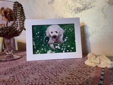 Wooden Photo Frame Photo