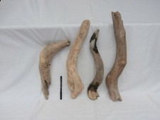 legni di mare lungo largo grosso storti(2160) scultura bricolage shabby deco DIY