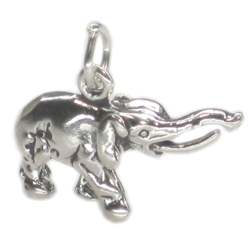 Ciondolo argento sterling - in,