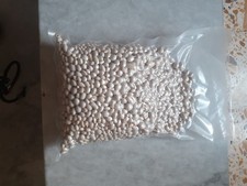 fagioli di controne anno 2025