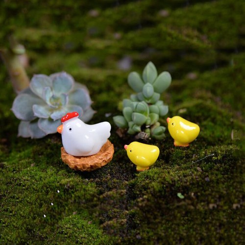 20pz uovo gallina - 20pz,
