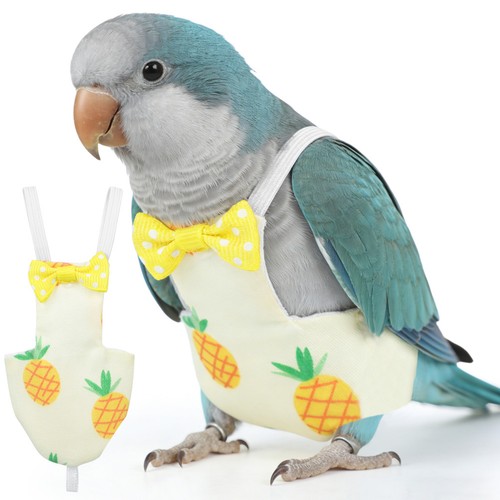 Vestiti creativi per - , uccelli