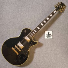 Chitarra elettrica Edwards By