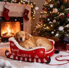 Cuccia Slitta Natalizia per