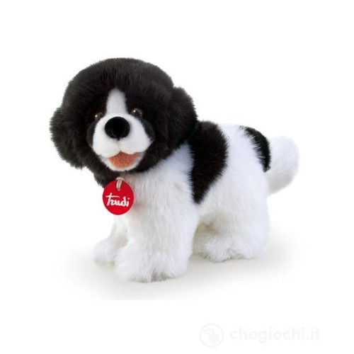 Cane trudi peluche - cane, kit