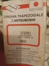 Cinghia Trasmissione