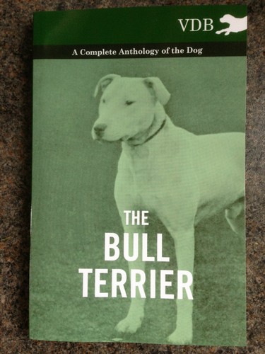 Dogs bull terriers terrier - terriers, vdb