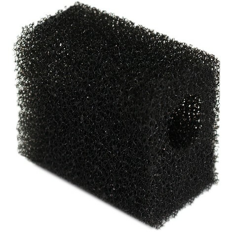 Spugna biologica ricambio - spugna, biologica ricambio