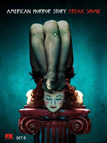 American horror story poster - story,