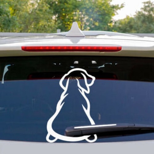 Adesivo auto personalizzato