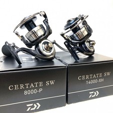 Mulinello da spinning Daiwa 21