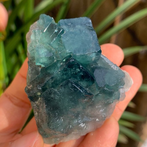 130g natural green cube - 130g,
