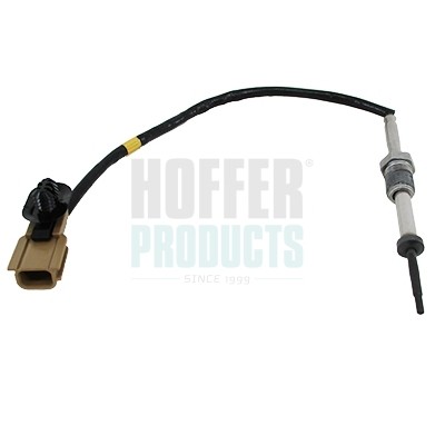 Hoffer sensore temperatura gas - temperatura,
