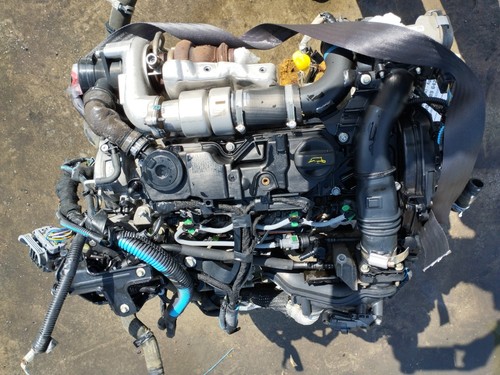 Motore completo ford ecosport - motore,