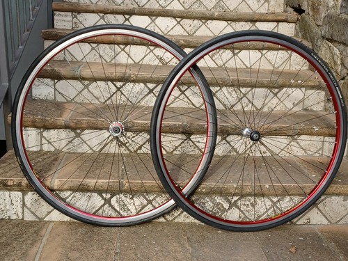 Wilier triestina alpina - ,
